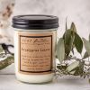 Eucalyptus Leaves Soy Candle