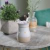 Rustic White Midsize Illumination Wax Warmer