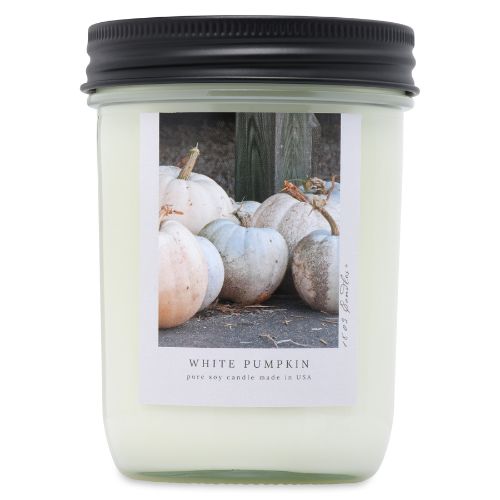 14oz. Jar-White Pumpkin