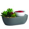 Succulent Wax Warmer