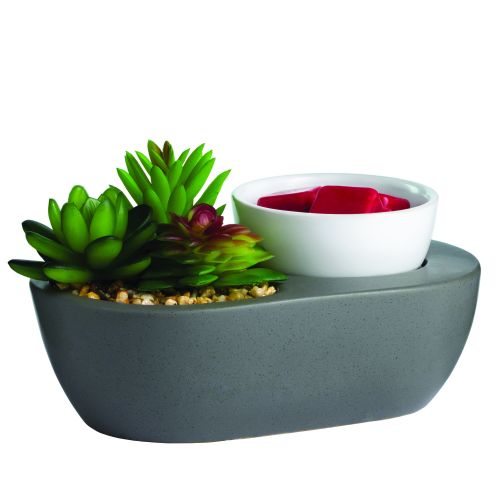 Succulent Wax Warmer