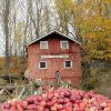 Cider Mill-Melter