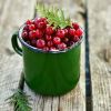 Original Pine Needles & Berries Soy Candle