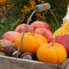 Vintage Harvest Soy Candle