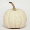 White Pumpkin-Melter