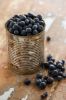 Blueberry Cinnamon Bun Soy Candle
