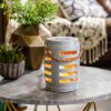 Canopy Shutter Illumination Warmer