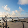 Driftwood Shore Soy Candle