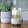 Wax Warmer-Swirl Glass 2 in 1