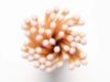 Matches-Mini Apothecary, Light Pink